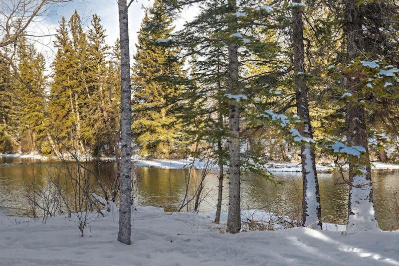 Canmore Cabin By Canadian Rockies Vacation Rentals Екстериор снимка