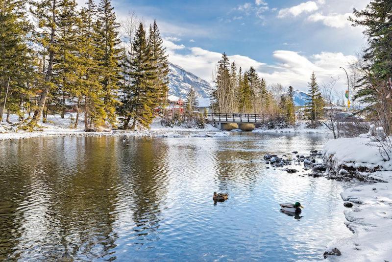 Canmore Cabin By Canadian Rockies Vacation Rentals Екстериор снимка